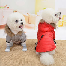 Laden Sie das Bild in den Galerie-Viewer, Hundejacke