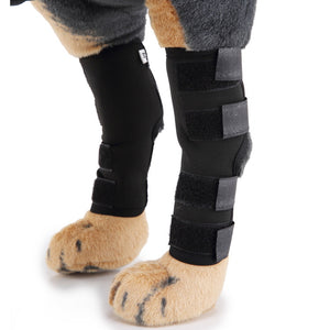 Hundebeinstütze, Dog Leg Brace