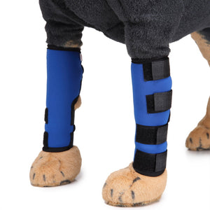 Hundebeinstütze, Dog Leg Brace